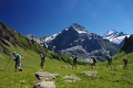 24h Hike Mammut_Ochsner 'Grosse Scheidegg _ Schwarzhorn 2927m' 18_08_2012 (123)